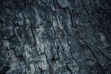 dark wooden bark tree texture for background.