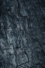 dark wooden bark tree texture for background.