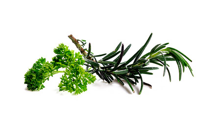parsley and rosemary isolated on a white background
