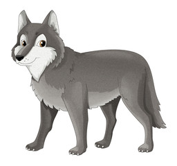 Cartoon animal - wolf - isolated - illustration for children © honeyflavour