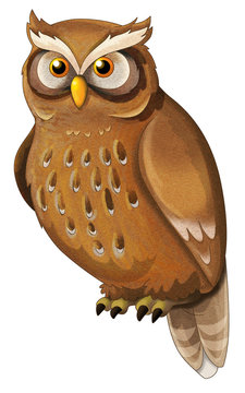 Cartoon animal - owl - isolated - illustration for children