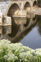 Foce del rio Ardenza (i tre ponti)