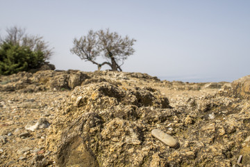 Antignano,scoglio della Tamerice (Livorno).
