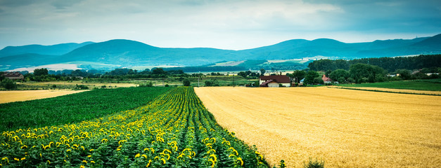 Fototapeta na wymiar colorful panorama of field with countryside and mountains on the background