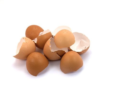 Eierschalen, Eggshells