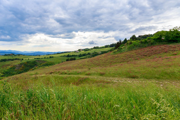 Fototapeta premium Tuscan landscape, fields and meadows near Volterra