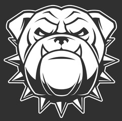 The head of a fierce bulldog