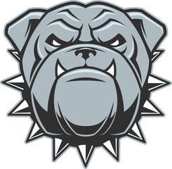 The head of a fierce bulldog