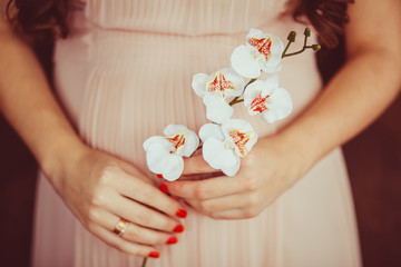 White orchid in the hands of pregnant