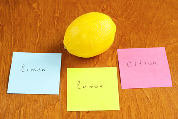 Lemon written on papers on a different languages. Language translation concept.