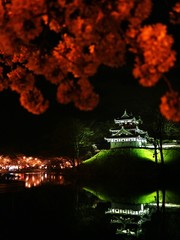 水面に浮かぶ夜桜と高田城（新潟県上越市）