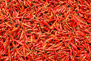 Fototapeta premium Thai peppers