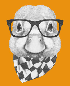 Portrait of Duck with glasses and scarf. Hand drawn illustration.