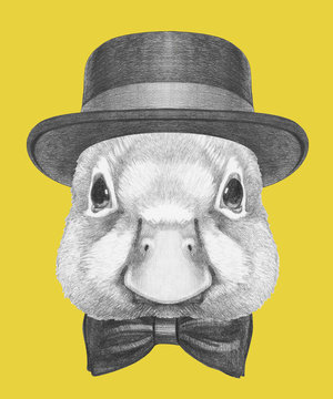 Portrait of Duck with hat and bow tie. Hand drawn illustration.