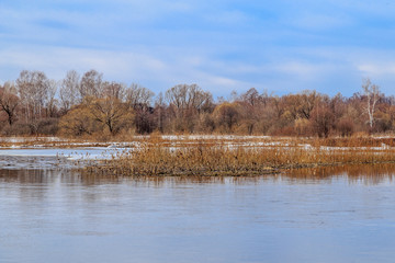 Весенний пейзаж, разлив на реке, камыш, остатки льда © vredaktor