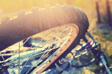 bicycle wheel, instagram look
