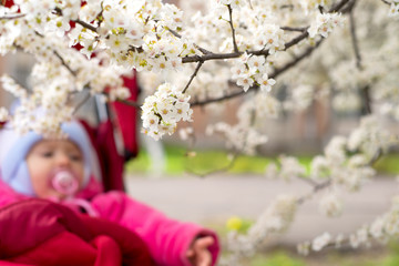 Blossoming tree with baby in background