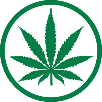 Marijuana hemp leaf in a circle