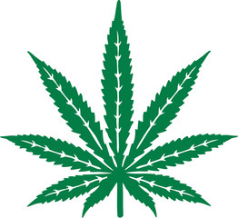 Marijuana leaf with details