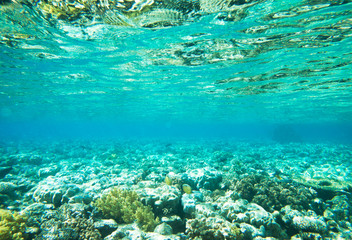 Fototapeta premium Underwater panorama with fish and coral