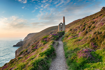 Hazy summer evening on the South West Coast Path as it approaches the ruins of the Wheal Coates mining engine house near St Agnes in Cornwall