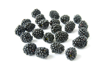 Blackberry with leaves