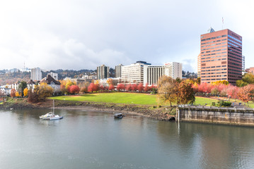 water,park,cityscape and skyline in portland