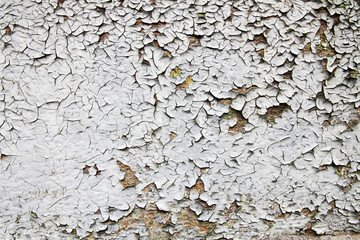 old damaged white wall