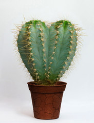 Unhappy Valentine's Day