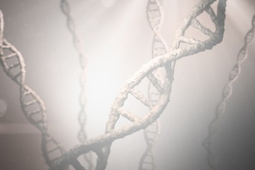 Composite image of view of dna