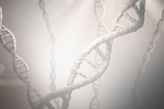 Composite image of view of dna