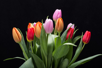 colorful bouquet of fresh spring tulip flowers