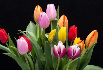 Obraz na płótnie Canvas colorful bouquet of fresh spring tulip flowers