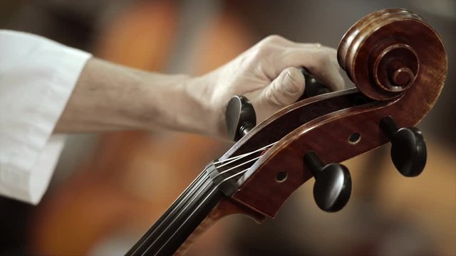 Artisan luthier working on the creation of violin.
