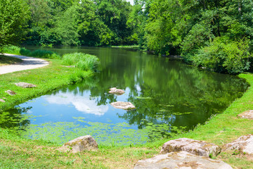 Scenic lake in the summer park.