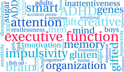 Executive Function word cloud on a white background. 