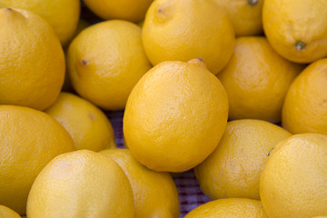 Lemon Fruit in Basket