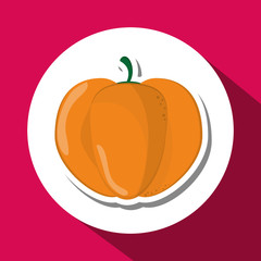 Organic shop design, vector illustration