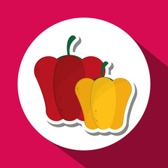 Organic shop design, vector illustration