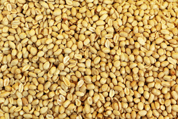 Salted peanuts.