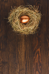 Chicken egg in the nest