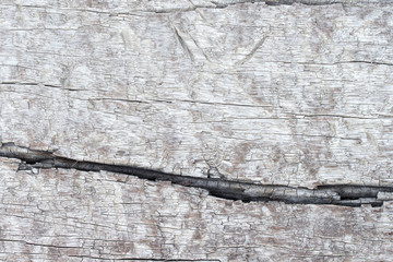 wood texture. background old panels