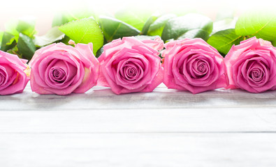 Pink roses on wooden