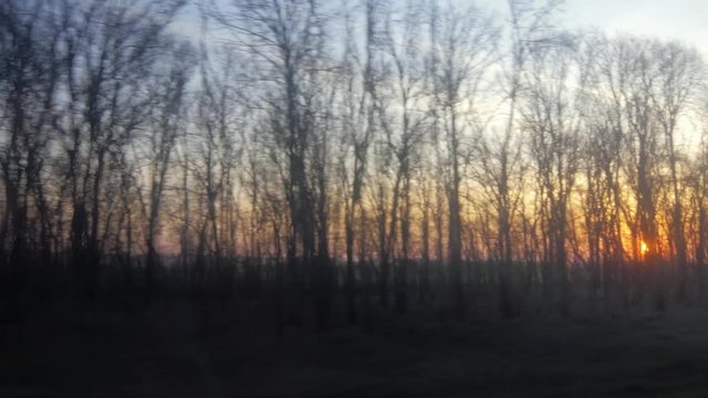 The rising sun from the window of a moving train or car, the sun's rays through a row of trees