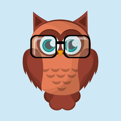 Owl icon design, vector illustration