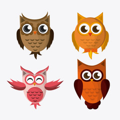 Owl icon design, vector illustration