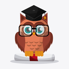 Owl icon design, vector illustration