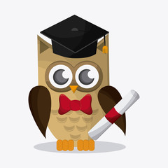 Owl icon design, vector illustration