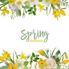 Spring Blossom Background - Flowers - in vector