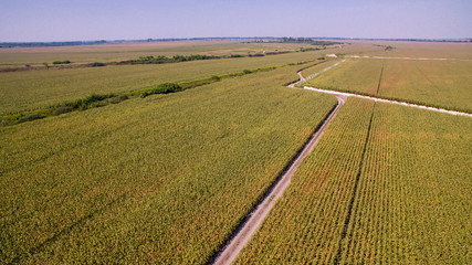 Irrigation of agricultural fields. Aerial of corn fields with water pump and irrigation system © control011